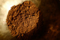 ChocoChampi, poudre de champignons et de cacao — Place aux Plantes