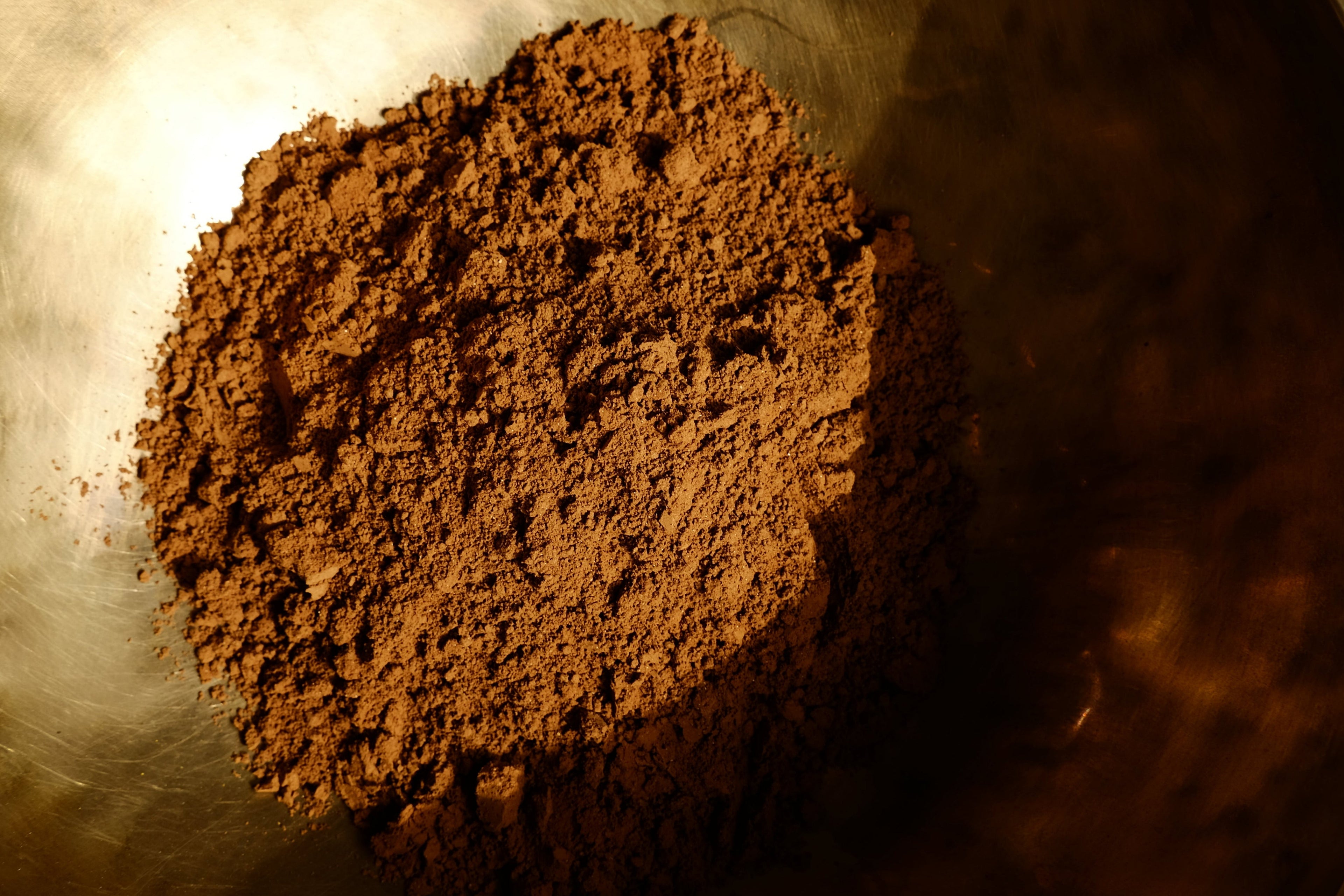 ChocoChampi, poudre de champignons et de cacao — Place aux Plantes